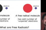 The Healthy Dose: Free Radicals Part 1