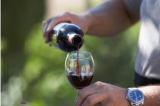 Why red wine is good for health