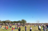 A Victim of its Own Success,  Kite Flying Festival Considers Future Options