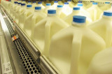 Harvard Scientist Urges people to Stop Drinking “Low-Fat” Milk Immediately