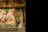 ISKCON Temple in  Houston is a Year Old