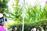 Independence Day Flag Hoisting at Consul General’s Residence