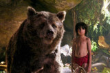 The Jungle Book has earned Rs 74 crore in first week and it’s a big deal