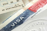 Indian pleads guilty for H-1B visa fraud in US