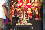 Masi Magam Celebrations at  Sri Meenakshi Temple