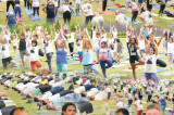 Alliance to Promote Yoga in the City on IDY
