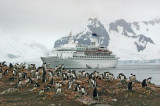 The first Indian cruise to Antarctica