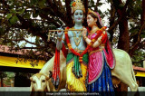 Janmashtami 2017: Significance, Date, Time, Mahurat and Pooja Rituals of Krishna Janmashtami