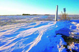 Family of Four Found Frozen to Death near US-Canada Board Family of Four Found Frozen to Death near US-Canada Board