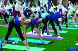 International Day of Yoga 2023: Enthusiastic Celebrations throughout Houston
