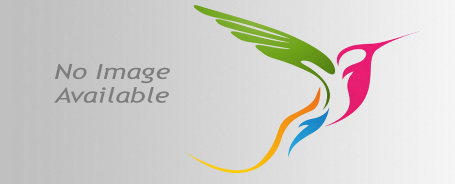 Shri Sita Ram Foundation Hosts the 14th International Diwali-Dussehra Festival in Houston