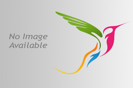 ‘Param Sundari’: Charming Chemistry Anchors this Rom-Com