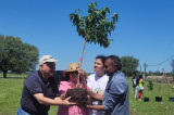 ACT Foundation USA Celebrates Earth Day with Fruit Tree Planting
