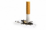 Cigarette pack health warnings ‘have little impact on teens