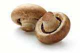 What are the health benefits of mushrooms?
