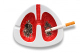 These Are The Most Powerful Methods For Cleaning Your Lungs