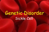 Patels’ charity trust in US to raise funds for sickle cell research