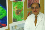 Indian American scientist Rakesh K Jain to get medal of science from Barack Obama Indian American scientist Rakesh K Jain to get medal of science from Barack Obama