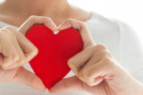 Key Protein In Preventing Heart Attacks Identified Key Protein In Preventing Heart Attacks Identified