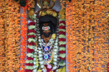 Sri Meenakshi Temple Society Celebrates  Guru Peyarchi Homam and Abhishekam