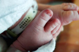Exposure To 9/11 Disaster Tied To Low Birthweight, Preterm Delivery: Study Exposure To 9/11 Disaster Tied To Low Birthweight, Preterm Delivery: Study
