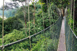 Taman Negara: Malaysia’s wild side Taman Negara: Malaysia’s wild side