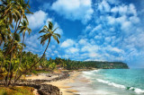 The most stunning beaches in Kerala The most stunning beaches in Kerala