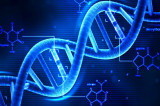 How rogue elements of DNA endanger our health