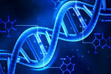 How rogue elements of DNA endanger our health How rogue elements of DNA endanger our health