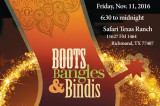 Indo American Forum of Fort Bend Gets Ready to Celebrate the Spirit of the Holidays