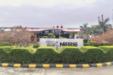 How Nestle is rebuilding in India—18 months after the Maggi ban How Nestle is rebuilding in India—18 months after the Maggi ban