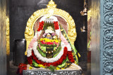 Maha Sivarathri Celebrations at Sri Meenakshi Temple