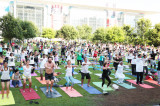 Third International Day of Yoga, Celebrate the Spirit and Power of Yoga on June 21