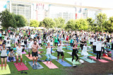 Third International Day of Yoga, Celebrate the Spirit and Power of Yoga on June 21 Third International Day of Yoga, Celebrate the Spirit and Power of Yoga on June 21