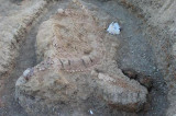 First Jurassic-era ‘fish lizard’ fossil found in India