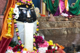 Shivratri, The Great Night of Lord Shiva, Celebrated at Sanatan Shiv Shakti Mandir