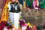 Shivratri, The Great Night of Lord Shiva, Celebrated at Sanatan Shiv Shakti Mandir Shivratri, The Great Night of Lord Shiva, Celebrated at Sanatan Shiv Shakti Mandir