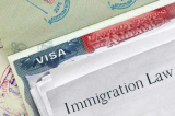 Trump’s immigration framework to end green card backlog: White House Trump’s immigration framework to end green card backlog: White House