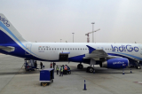 IndiGo’s grounded planes may be costing it thousands of dollars daily IndiGo’s grounded planes may be costing it thousands of dollars daily