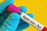 Nipah under control, screening will continue till June 30: Kerala health minister K K Shailaja Nipah under control, screening will continue till June 30: Kerala health minister K K Shailaja