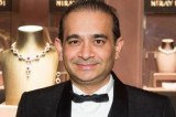 Nirav Modi flees to United Kingdom, claiming political asylum: Report Nirav Modi flees to United Kingdom, claiming political asylum: Report