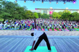 International Day of Yoga 2022: All Around Houston