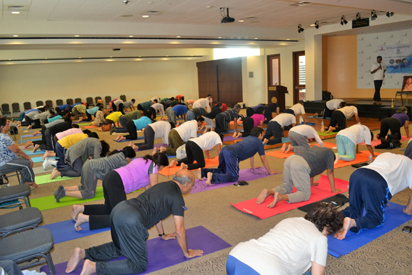 Participants deeply invovled in Yoga practice.