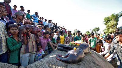 People prepare to bury a female elephant and two foetuses, who according to the forest officials were killed after being hit by a train in the Hojai district of Assam. (Reuters File Photo)