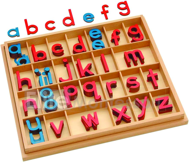 elements-of-montessori-education-for-young-children-indo-american-news